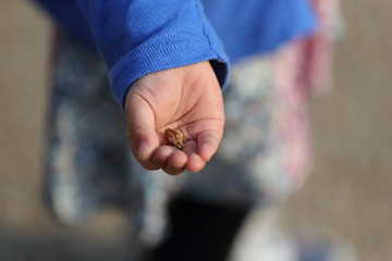 小石を大切そうに手のひらに持つ女の子