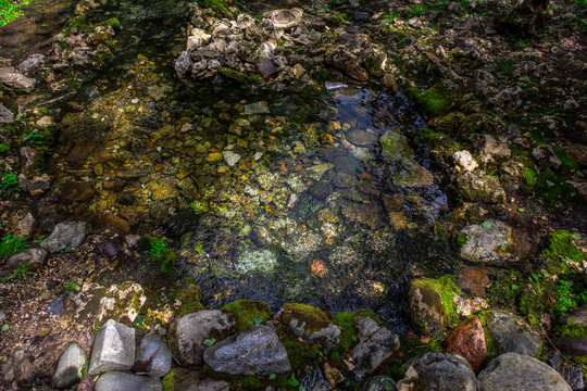 Transparent water of small river