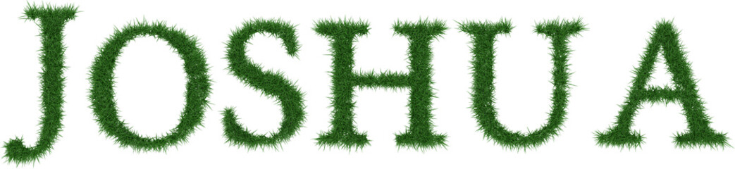 Joshua - 3D rendering fresh Grass letters isolated on whhite background.