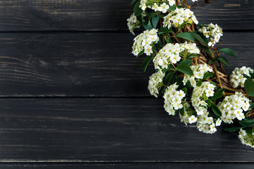 Beautiful white flowering Spirea arguta (brides plant) in a wreath on wooden table. Flat lay, top view