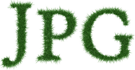 Jpg - 3D rendering fresh Grass letters isolated on whhite background.