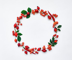 Bright berries of dog rose and chili peppers in round frame on white background. Flat lay, top view