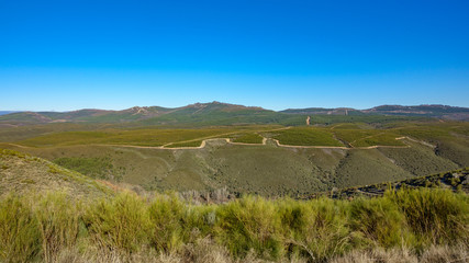 Fototapeta premium Wide shot of mountain with forest and may firebreaks
