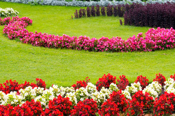 farbenfrohe Blumen in einer Parkanlage