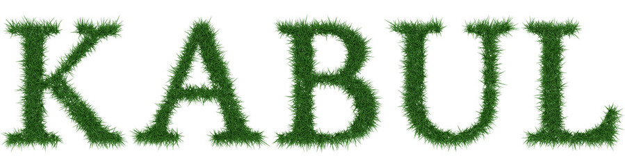 Kabul - 3D rendering fresh Grass letters isolated on whhite background.