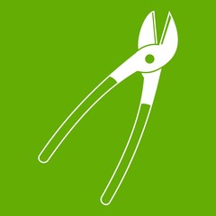 Metal shears icon green