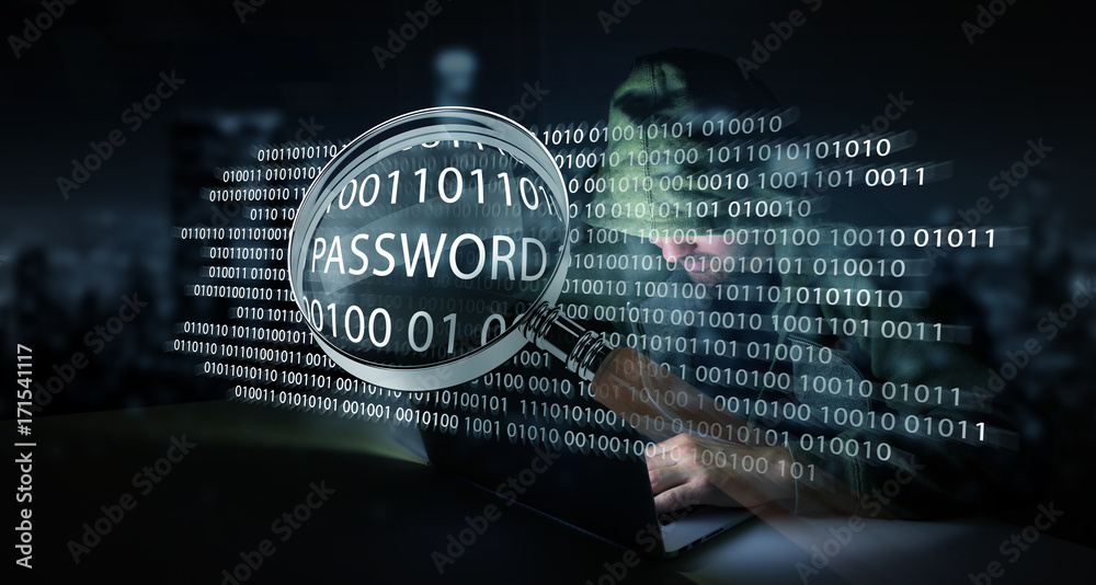 Leinwandbilder Hacker accessing to personal data information with a computer 3D rendering