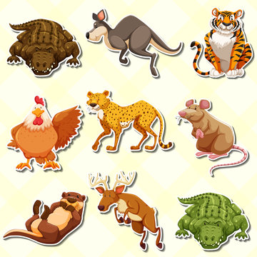 Sticker set with many animals