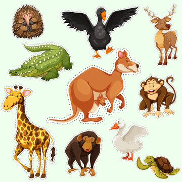 Sticker design with animals on green