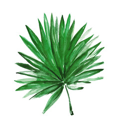 Watercolor tropical leaf isolated on white