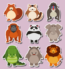 Sticker design with cute animals