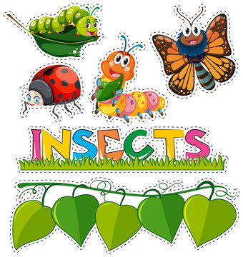 Sticker set with different insects in garden