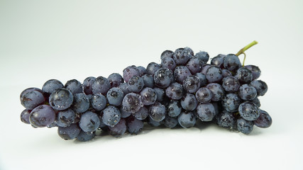 branch of dark blue wine grapes on a white background