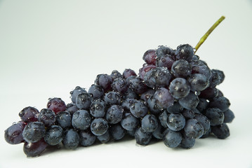 Blue wet Isabella grapes bunch on white background 