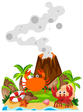 Crabs and volcano on island