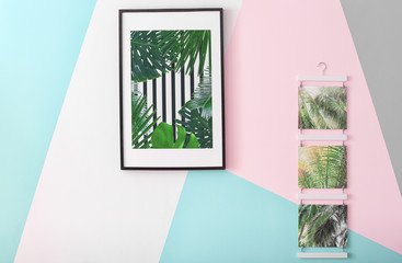 Pictures of tropical leaves on color background