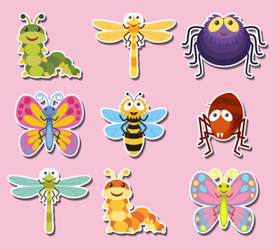 Sticker design with cute bugs and insects