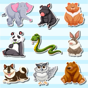 Sticker design with many wildlife creatures