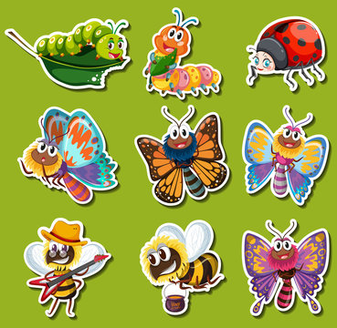 Sticker design for different kinds of insects