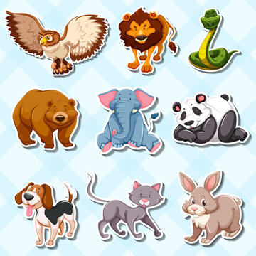 Sticker set with lots of wild animals