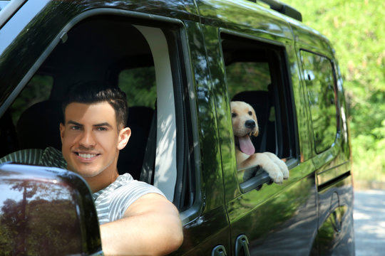 Young man with yellow retriever in car outdoors