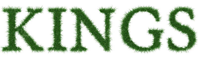 Kings - 3D rendering fresh Grass letters isolated on whhite background.