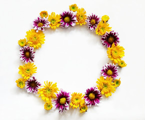 Flowers composition round frame wreath made of various yellow and pink flowers on white background. Spring summer easter concept. Flat lay top view