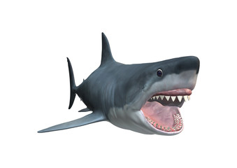 3D Rendering Megalodon Shark on White