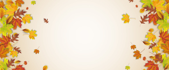 Autumn Foliage Fall Header