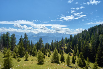 View over the green slopes with pine trees in Dobratsch Nature Park in the Austrian Alps