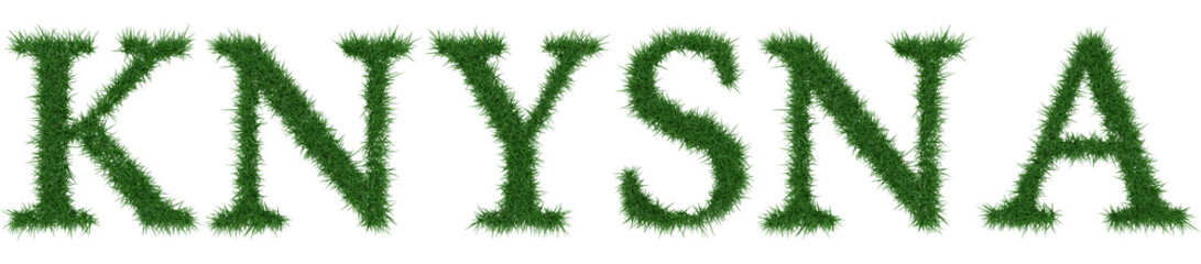 Knysna - 3D rendering fresh Grass letters isolated on whhite background.