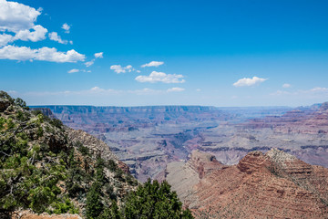 Desert vegetation of the Grand Canyon. Colorado Plateau, Arizona