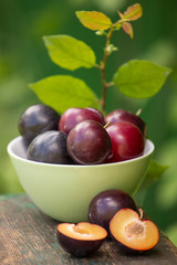 Fresh ripe plums with green leafs in a bowl outdoors closeup