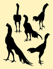 Roosters gesture silhouette 03. Good use for symbol, logo, web icon, mascot, sign, or any design you want.