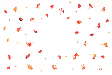 Autumn frame. Viburnum berries, dried branches, autumn acorn, flowers on white background. Flat lay, top view