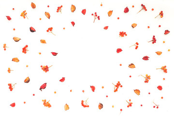 Autumn frame. Viburnum berries, dried branches, autumn acorn, flowers on white background. Flat lay, top view