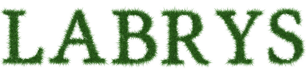 Fototapeta premium Labrys - 3D rendering fresh Grass letters isolated on whhite background.