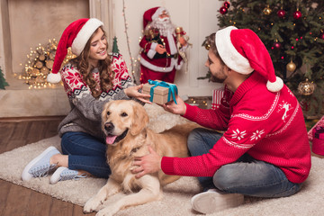 couple in santa hats with dog