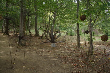 Jardin extraordinaire 