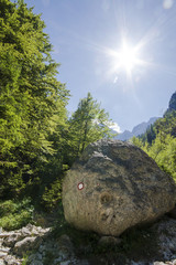 Slovenia trail mark painted on boulder, Julian alps.