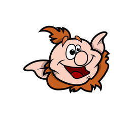 Laughing Cartoon Leprechaun Character Face