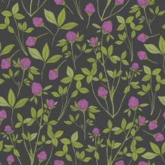 Botanical seamless pattern with red clover on dark background. Wild herbaceous plant with pink flowers, green stems and trifoliate leaves hand drawn in antique style. Natural vector illustration.