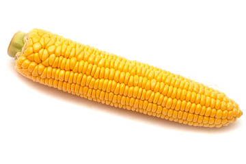 corn on the cob isolated on white background