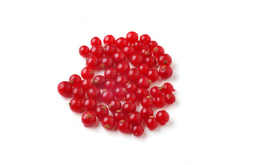red currant on white background