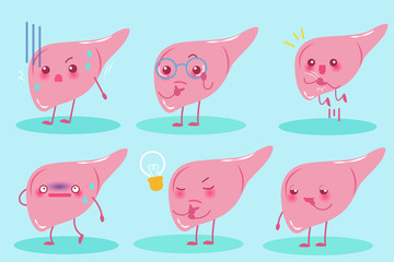 cute cartoon liver