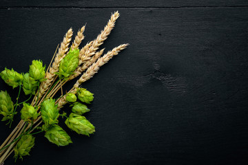 Wheat and hops on a wooden background. Top view. Free space for text.