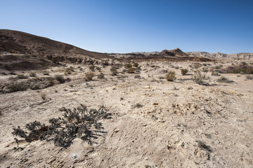 Stone Desert in Israel