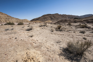 Fototapeta na wymiar Stone Desert in Israel