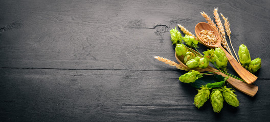 Wheat and hops on a wooden background. Top view. Free space for text.