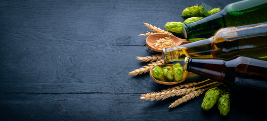 A great selection of beers of dark and light beer and refreshments for beer Top view. Free space for text.